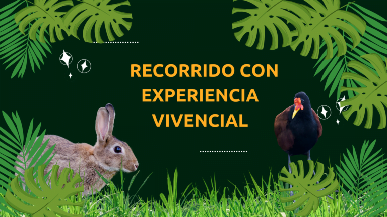 RECORRIDO CON EXPERIENCIA VIVENCIAL